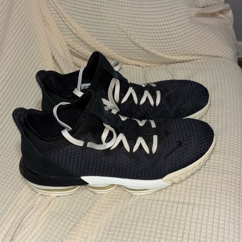 Lebron nike basketball shoes